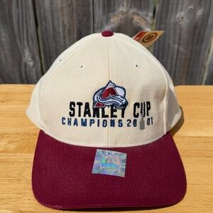 Stanley Cup 2001 Champion Colorado Avalanche Hat Vintage New Twin Enterprises